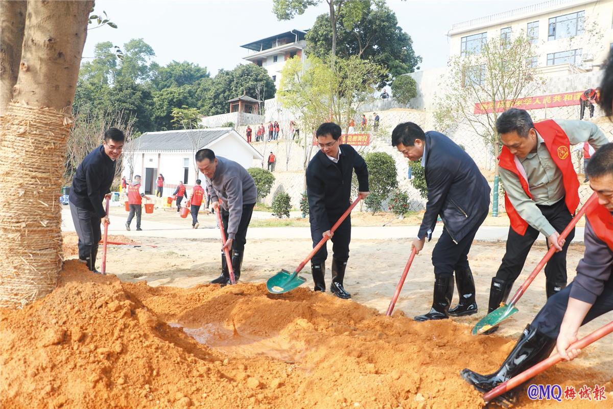 闽清县开展2025年全民义务植树活动