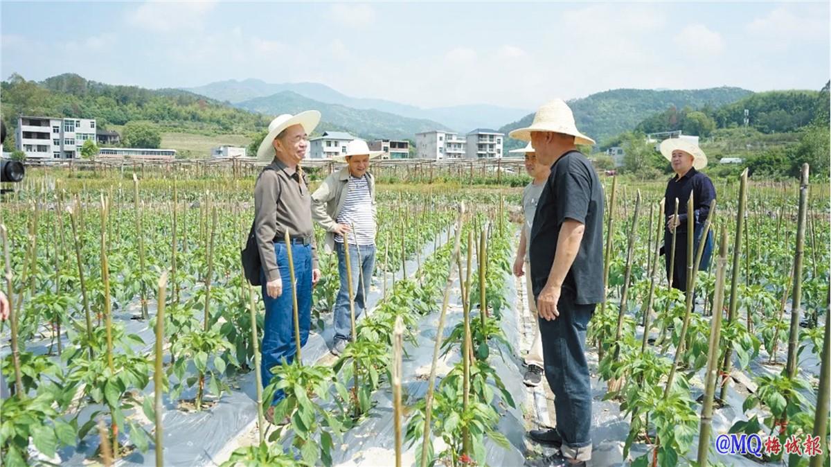 闽清县举办“银发先锋践初心 暖心党建促振兴”活动