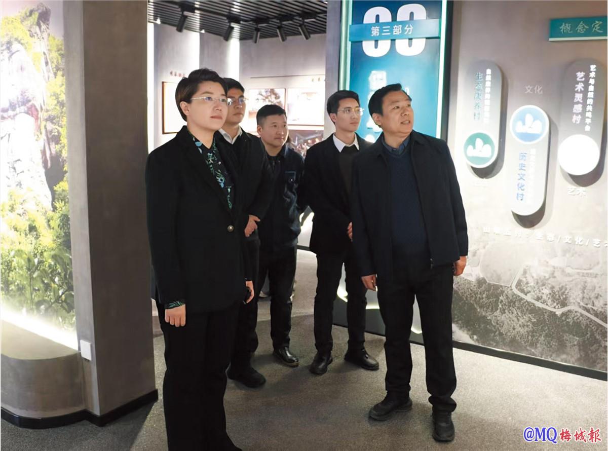 县领导调研基层党建工作