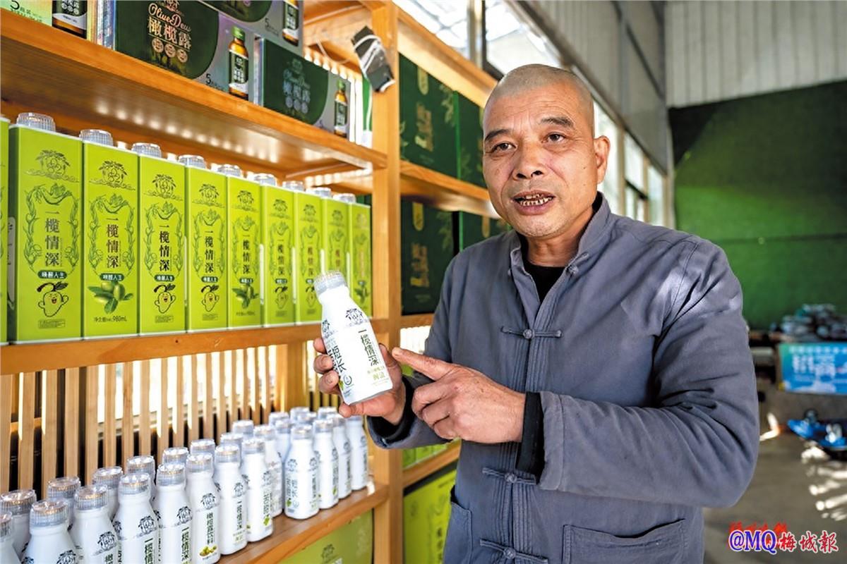 陈世忠：匠心制出闽清橄榄露