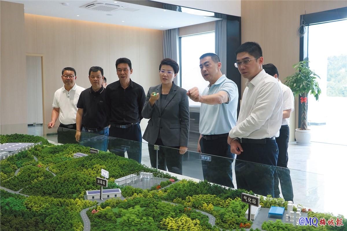 县领导调研推动重大项目建设